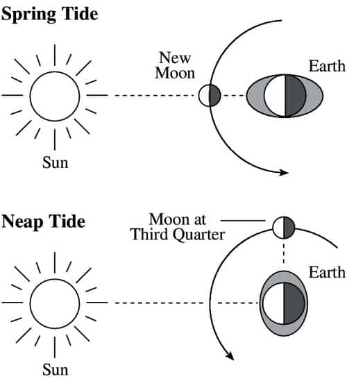 advantages and disadvantages of tidal energy